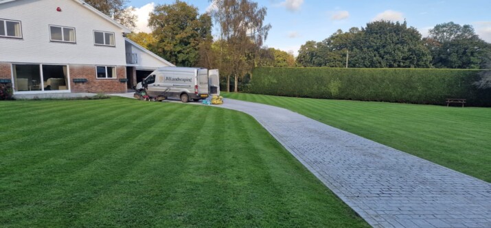 Professional hedge trimming service before birdnesting season in Surrey.